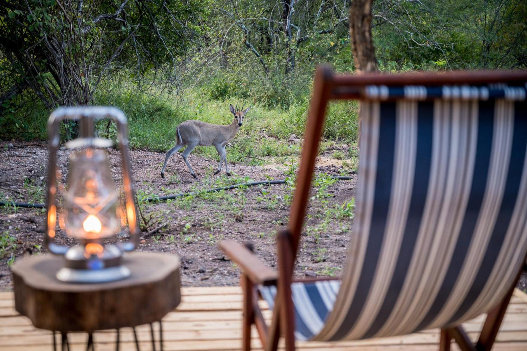 Bosveld Villa Marloth Park Eksteriør bilde